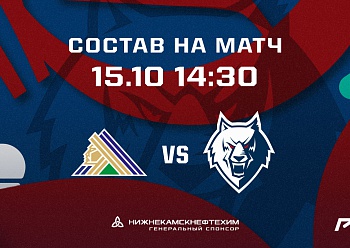 «Салават Юлаев» - «Нефтехимик»: состав нашей команды «Салават Юлаев» - «Нефтехимик»: состав нашей команды
