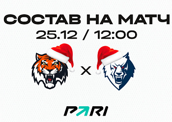 «Амур» - «Нефтехимик»: состав нашей команды