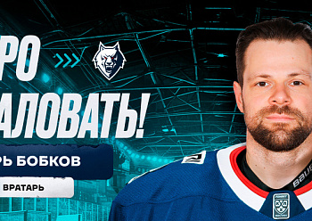 Neftekhimik have signed goaltender Igor Bobkov
