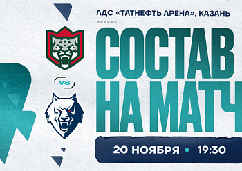 «Ак Барс» – «Нефтехимик»: состав нашей команды