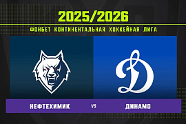 Обзор матча «Нефтехимик» – «Динамо» (Москва)