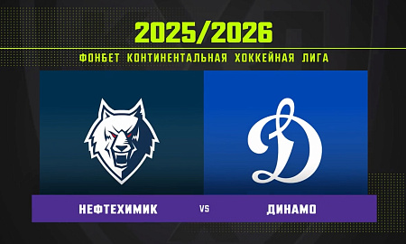Обзор матча «Нефтехимик» – «Динамо» (Москва)