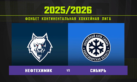 Обзор матча «Нефтехимик» – «Сибирь»