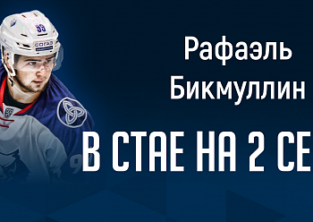 Бикмуллин принял квалификационное предложение «Нефтехимика»