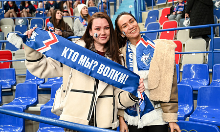 Активности на матче "Нефтехимик" - "Металлург"