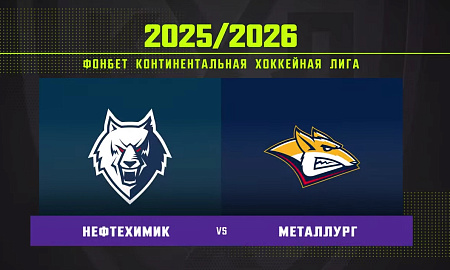 Обзор матча «Нефтехимик» – «Металлург»