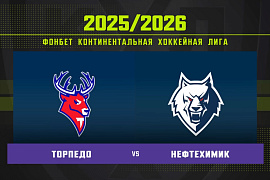 Обзор матча «Торпедо» – «Нефтехимик»