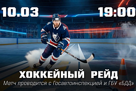 Анонс "Хоккейного рейда"