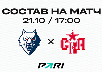 «Нефтехимик» – СКА: состав нашей команды