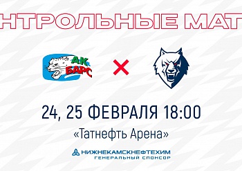 Сыграем два контрольных матча в Казани