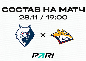 «Нефтехимик» - «Металлург»: состав нашей команды