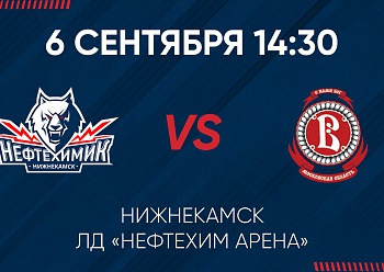 Дневной матч с «Витязем» Дневной матч с «Витязем»