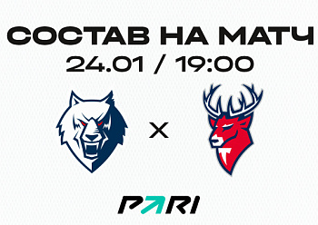 «Нефтехимик» - «Торпедо»: состав нашей команды