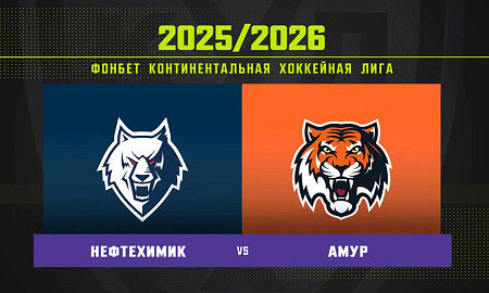 Обзор матча «Нефтехимик» – «Амур»