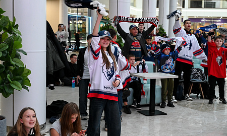 Болельщики смотрят хоккей