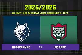 Обзор матча «Нефтехимик» – «Ак Барс» 