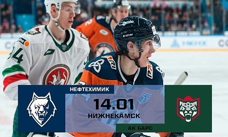 Обзор матча "Нефтехимик" - "Ак Барс"