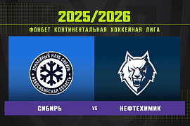 Обзор матча «Сибирь» – «Нефтехимик»