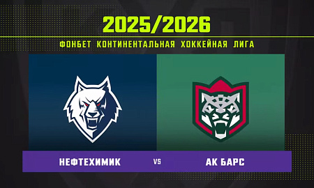 Обзор матча «Нефтехимик» – «Ак Барс» 