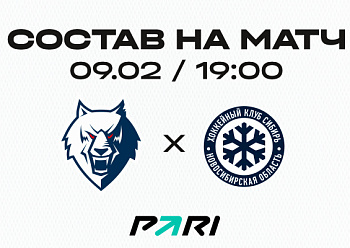 «Нефтехимик» - «Сибирь»: состав нашей команды