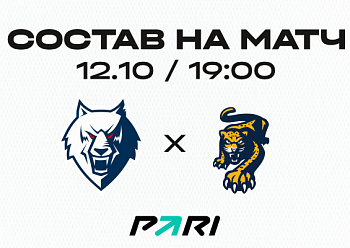 «Нефтехимик» – ХК «Сочи»: состав нашей команды