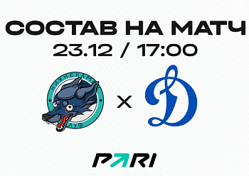 «Нефтехимик» - «Динамо» (Москва): состав нашей команды