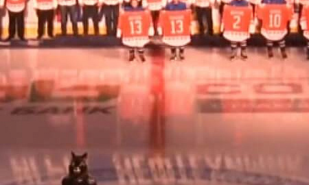 «Нефтехимик» - «Лада» - 0:4