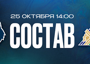 «Нефтехимик» — «Салават Юлаев»: состав нашей команды
