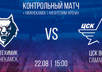 Приглашаем на контрольную игру