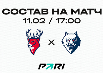 «Торпедо» - «Нефтехимик»: состав нашей команды