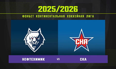 Обзор матча «Нефтехимик» – СКА