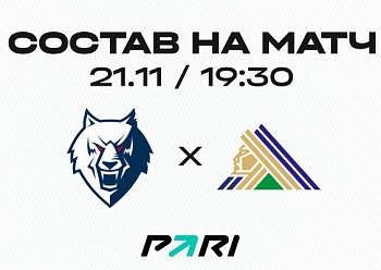 «Нефтехимик» - «Салават Юлаев»: состав нашей команды