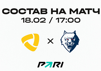 «Северсталь» - «Нефтехимик»: состав нашей команды «Северсталь» - «Нефтехимик»: состав нашей команды