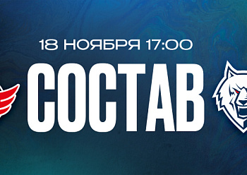 «Автомобилист» — «Нефтехимик»: состав нашей команды