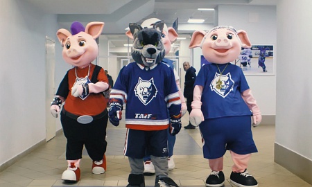 Команда новых маскотов Команда новых маскотов