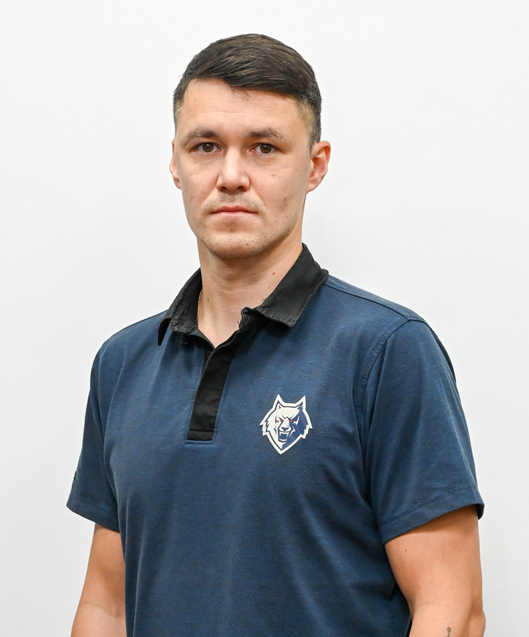 Хафизов Ирек Хамитович Хафизов Ирек Хамитович