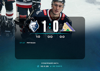 Neftekhimik 1–0 Salavat Yulaev 11/7/2025 Neftekhimik 1–0 Salavat Yulaev 11/7/2025